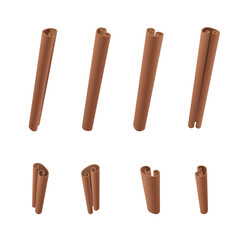 Set of realistic Cinnamon Sticks. Aromatherapy stick. Aromatic, flavorful spice for cooking, baking, health food and medicinal uses.  Herbs and spices collection.