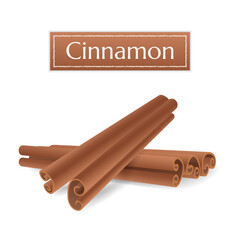 Set of realistic Cinnamon Sticks pile. Aromatherapy stick for oils. Aromatic, flavorful spice for cooking, baking, health food and medicinal uses. Label for herbs and spices collection.