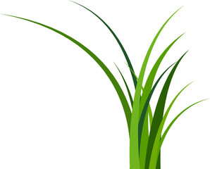 Grass. Grass field natural