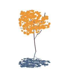 Naklejka na ściany i meble Tree in autumn season with bright orange leaves, laconic illustration isolated vector small tree with shadow on white background.
