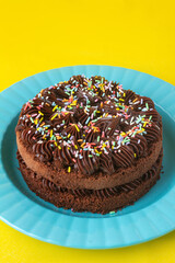 Chocolate Cake in a Blue Plate