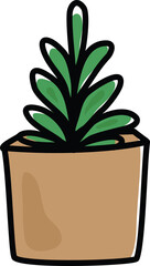 Cactus. natural, Hand Drawn