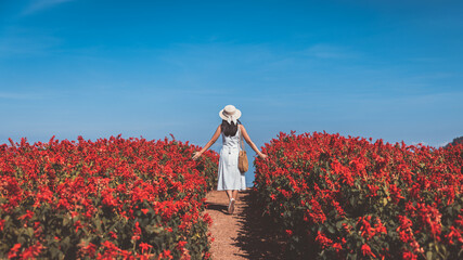 Traveler asian woman travel in flower garden at Chiang Mai Thailand