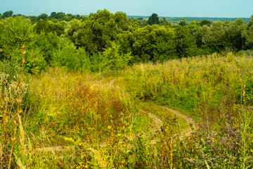 Narrow trodden road in a field among the grass in the countryside. Landscape with a turn of the road outside the city.