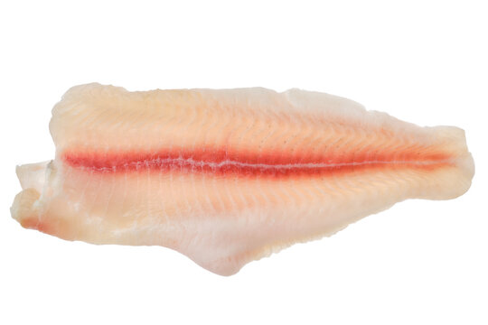 Overhead view of fresh raw fillet of pangasius