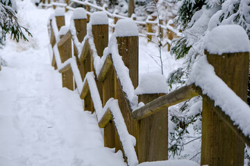 Wooden stairs with snow, tourist trail in the forest. Gauja National Nature Park. Latvia.