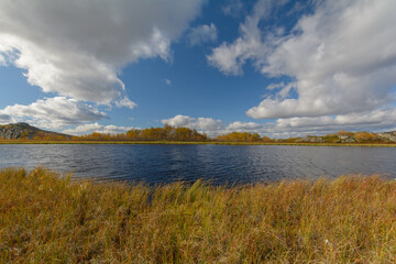 In autumn, tundra with a lake and trees with yellow leaves.