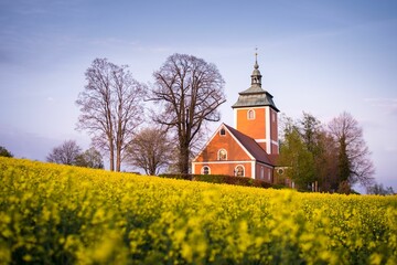 Beautiful shot of a church on a blooming field