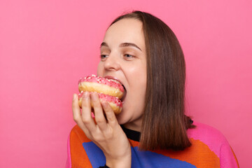 Portrait of beautiful Caucasian woman with brown hair wearing sweater posing isolated over pink background, biting several donuts, keeps mouth widely opened, enjoying dessert.
