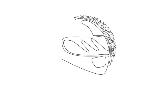 Animated self drawing of continuous line draw motorcycle helmet. Racer helmet logo. Motorsport car kart racing transportation safety concept. Swirl curl circle style. Full length one line animation