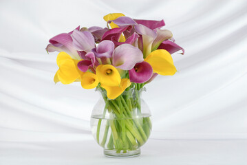 Bouquet of yellow calla lily and purple calla lily flowers in a clear vase isolated on a white elegant background.