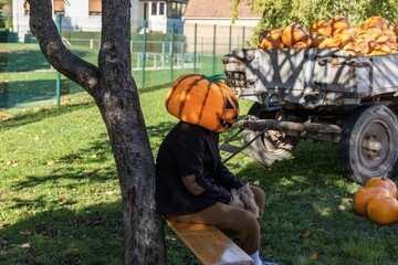 Man with a pumpkin head sitting on a bench  in front of a cartload full of pumpkins at a fall fair