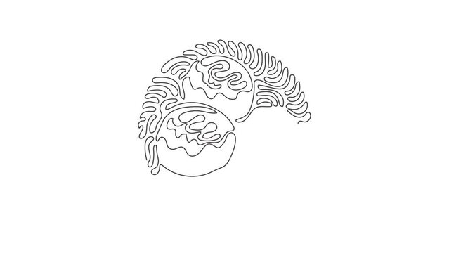 Self drawing animation of single one line draw takoyaki, octopus balls, Japanese fast food. Tasty snack with mayonnaise, seaweed. Swirl curl circle style. Continuous line draw. Full length animated