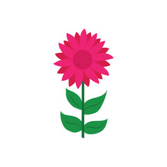  Flower vector isolated on white background. vector, flower vector. coloring page for kids.
