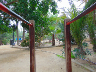 playground in the park