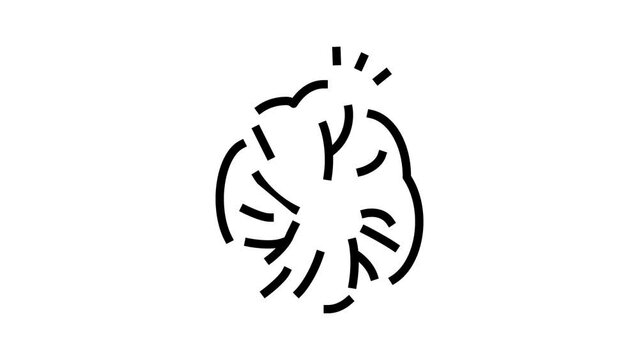 anocutaneous reflex line icon animation