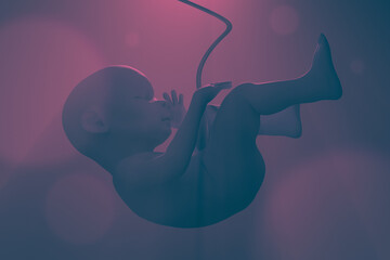 Human fetus in the uterus. 3d illustration. - obrazy, fototapety, plakaty