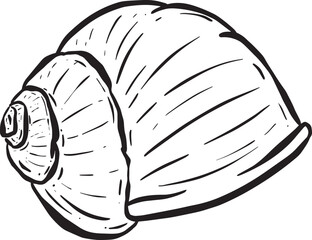 Conch Sea Snail Shell Outline Cartoon Style Logo Design in Vector