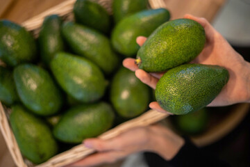 Woman hands holding fresh ripe organic green avocado choose best for cooking guacamole closeup