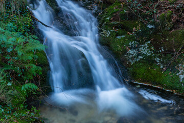 Obraz premium waterfall in mata da albergaria
