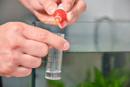 Close up of hands adding drops to test PH or nitrite in front of freshwater aquarium. Fish tank maintenance.