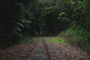 Obraz premium Hermosa aldea indígena australiana en Cairns, queensland. Bosque tropical, jungla Kuranda con tren