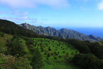 View in the Rural Park of Anaga in the north of tenerife