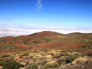 View in the National Park of Teide in tenerife