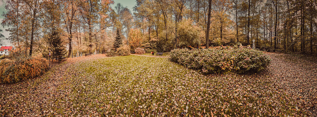 Jesień w parku, Park Olszynka na Śląsku w Polsce gmina Gorzyce jesienią