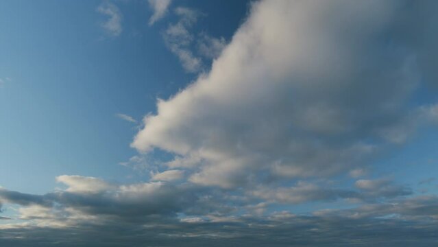 Clearing day and good windy weather. Blue sky and light fluffy stratocumulus clouds. Timelapse.