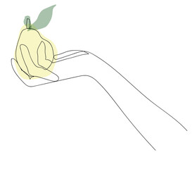 One line pear on the hand on white background. One continuous line art fruit for logo, poster, wall art, icon etc. Hand drawn minimalist style