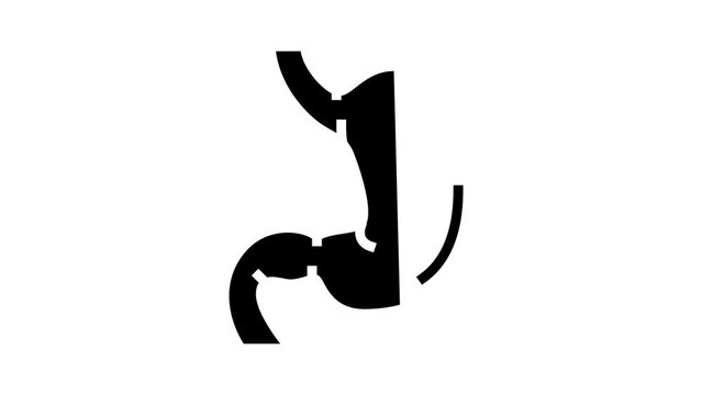 stomach human organ glyph icon animation