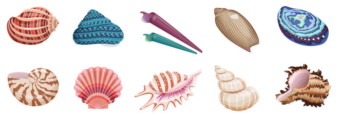 Seashells set vector illustration. Cartoon tropical marine animals collection with sea and ocean shells of different colors, patterns and shapes isolated white. Summer vacation, undersea life concept