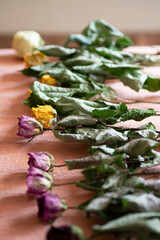 制作中のバラのドライフラワー