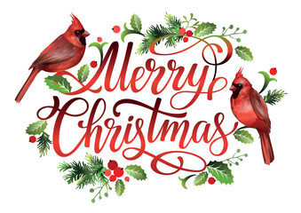 Merry Christmas lettering design with red cardinal birds, mistletoe leaves, spruce branches, red berries.