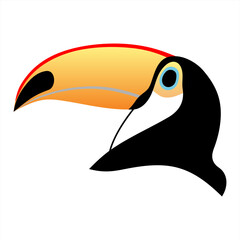 illustration of a head of an toucan