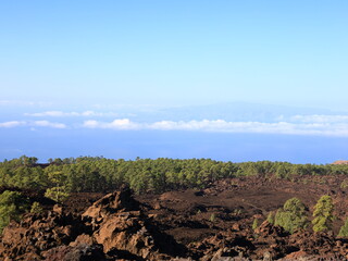 View on a mountain in the National Park of Teide in Tenerife