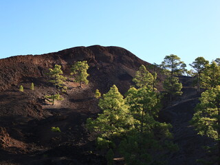 View on a mountain in the National Park of Teide in Tenerife
