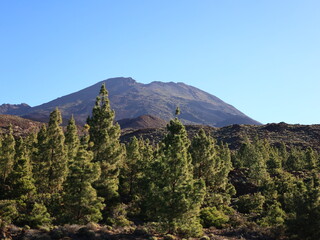 View on a mountain in the National Park of Teide in Tenerife