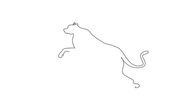 Animated self drawing of continuous line draw strong cheetah is jumping for company logo identity. Wildcat animal mascot concept for national safari zoo. Full length one line animation illustration