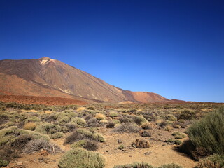 Fototapeta na wymiar View on the mount Teide in the National Park of Teide in Tenerife