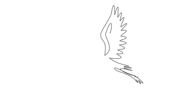 Animated self drawing of continuous line draw storks flying in sky. Bird as symbol for baby shower, delivery, news, pregnancy. Spring mood concept. Bird life nature. Full length one line animation