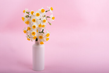 ピンクバックの花瓶に挿した水仙の花