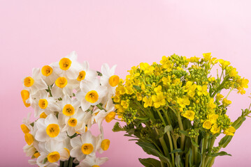 ピンクバックの菜の花と水仙の花