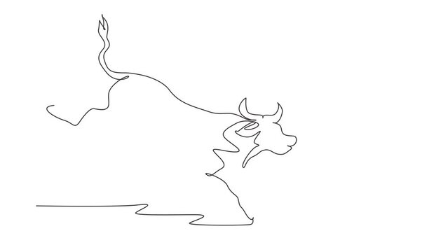 Animated self drawing of continuous line draw wild bull attack. Elegance buffalo for conservation national park logo. Big strong bull mascot concept for rodeo show. Full length single line animation