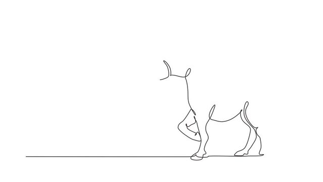 Self drawing animation of single one line draw donkey cute farm animal lift one front leg. Friendly tame animals. Helping farmers bring agricultural produce. Continuous line draw. Full length animated