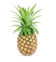 Fototapeta premium Fresh pineapple isolated on white background