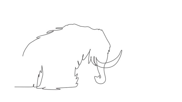 Animated self drawing of single continuous line draw big mammoth business logo identity. Prehistoric animal from ice age. Elephantidae, tusks, elephant species. Full length one line animation