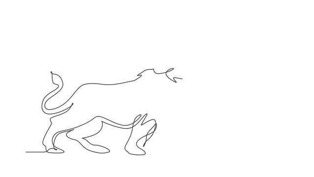 Animated self drawing of single continuous line draw strong lion standing full body, king of the jungle. Strong feline mammal mascot. Dangerous big cat animal logo. Full length one line animation