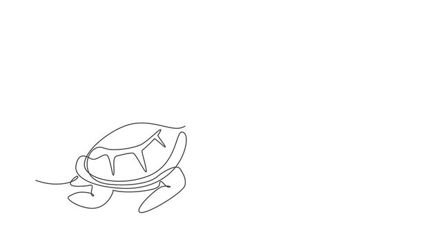 Animated self drawing of continuous line draw turtle for marine company logo identity. Adorable creature reptile animal mascot concept for conservation foundation. Full length one line animation
